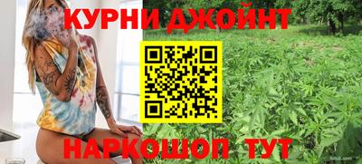 сатива Аргун